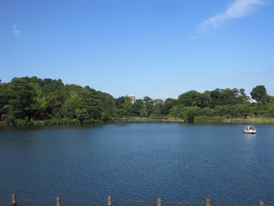 洗足池公園